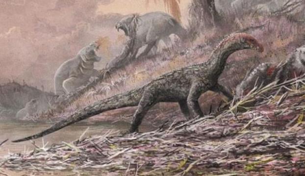 Bilim insanları, Avustralyanın en büyük dinozor türünü keşfetti